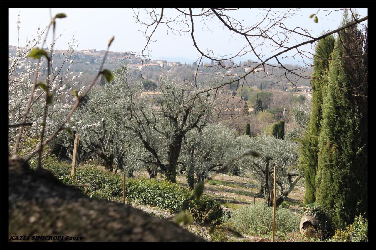 Domaine Des Tilleuls D'Or Saint-Cézaire-sur-Siagne Exterior foto